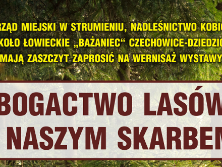 BogactwoLasów-Naszym Skarbem- grafika